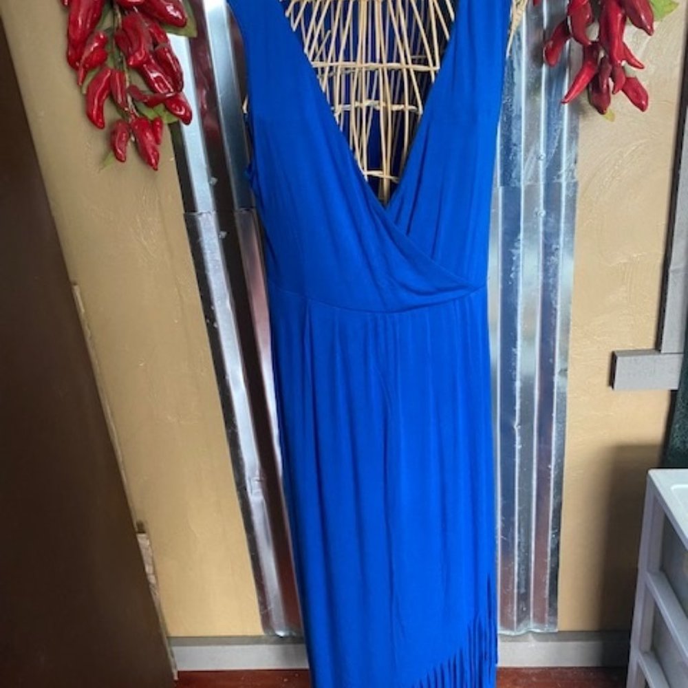 Kate and Mallory Fringe Dress